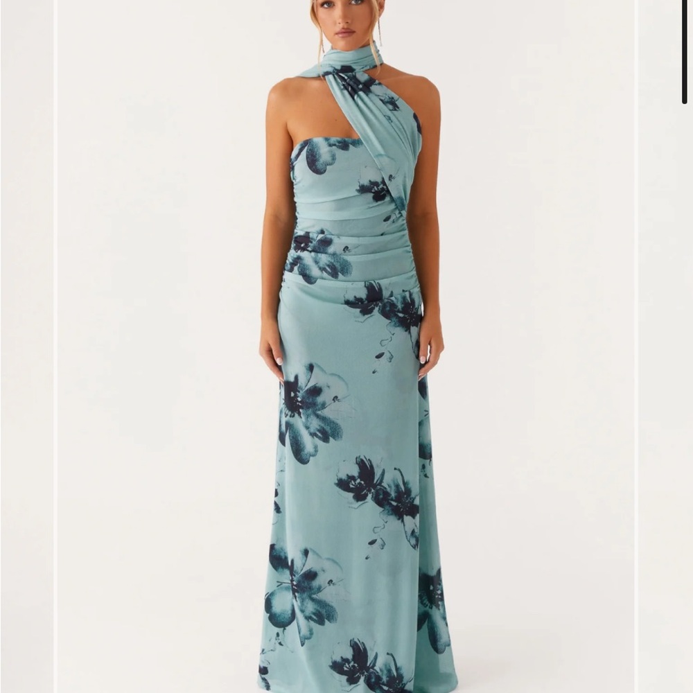 Peppermayo Song Bird Maxi Dress - Picture 3 of 9